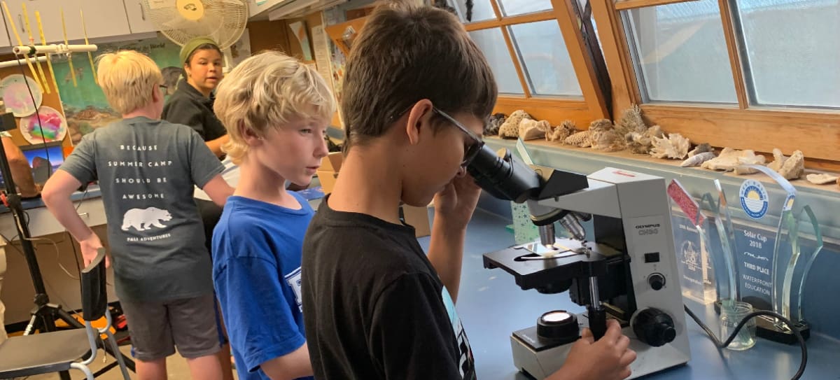 Students learning to use a microscope